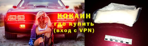 кокс Алексин