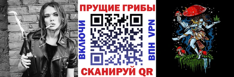 Псилоцибиновые грибы мицелий дарнет шоп Заозёрск